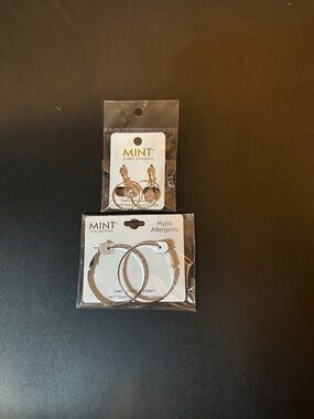 Set Of 2 New Mint Earrings